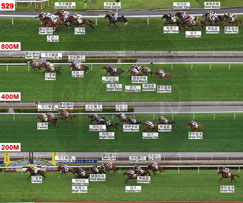 Results Racing Information Horse Racing The Hong Kong Jockey Club