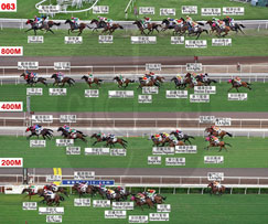 Results Racing Information Horse Racing The Hong Kong Jockey Club