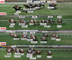 A Hamelin Horse Jockey Profile - Stats,News,Runners