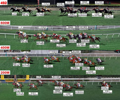 賽果 賽事資料 賽馬資訊 香港賽馬會