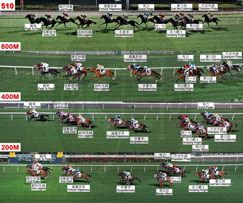 賽果 賽事資料 賽馬資訊 香港賽馬會