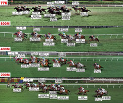 Results Racing Information Horse Racing The Hong Kong Jockey Club