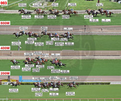 Results Racing Information Horse Racing The Hong Kong Jockey Club