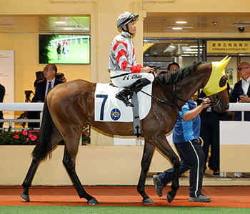 競馬　1999G1レース PHOTO COLLECTION H289_l.jpg