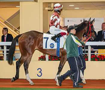 JavaScript must be enabled in order to view this page.