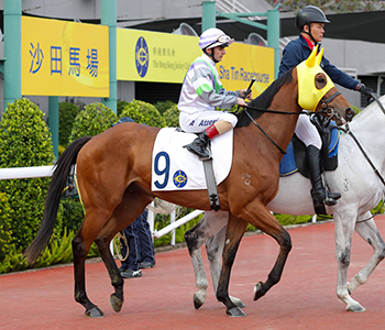 虹馬 K130_l.jpg