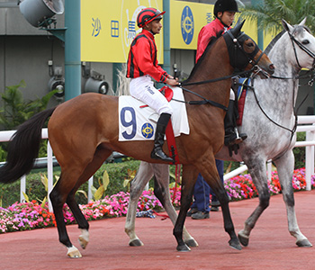 JavaScript must be enabled in order to view this page.