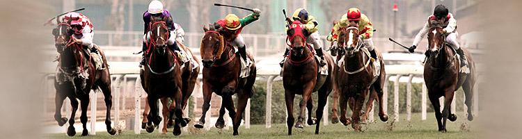 Hong kong horse racing live today results today